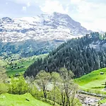Auf Dem Vogelstein-1 By Interhome * Grindelwald