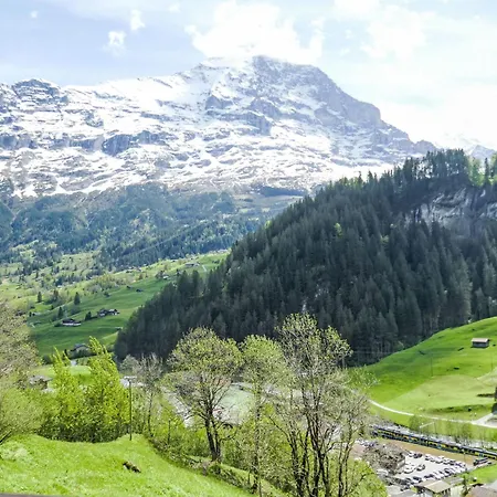 Auf Dem Vogelstein-1 By Interhome Apartamento Grindelwald