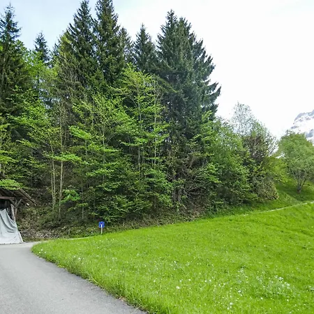 Auf Dem Vogelstein-1 By Interhome Grindelwald