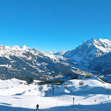 Apartment Auf Dem Vogelstein-1 By Interhome Grindelwald