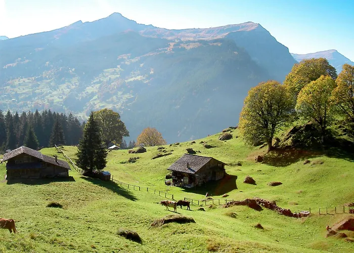 Auf Dem Vogelstein-1 By Interhome Lejlighed