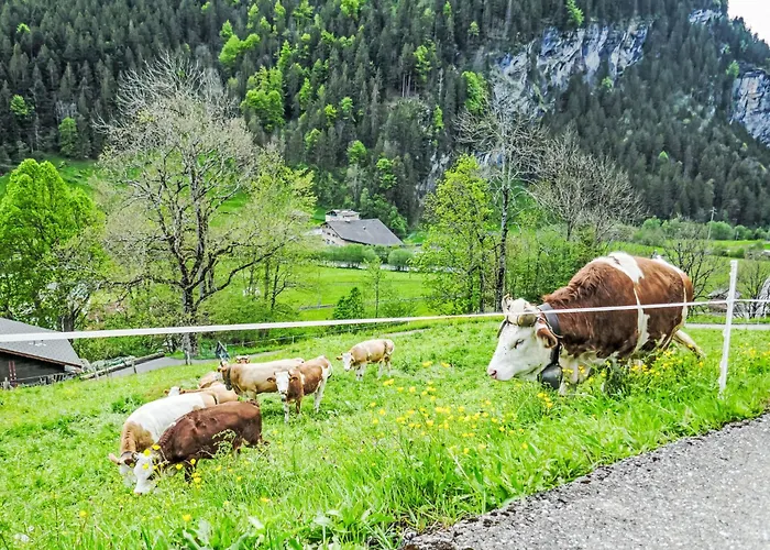 Auf Dem Vogelstein-1 By Interhome Lägenhet