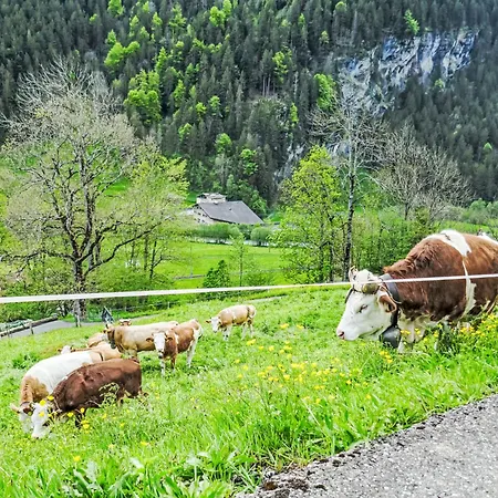 Auf Dem Vogelstein-1 By Interhome דירה