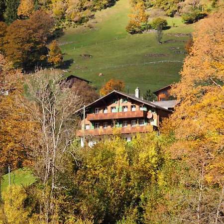 Auf Dem Vogelstein-1 By Interhome גרינדלוולד